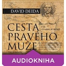 Audioknihy Cesta pravého muže - David Deida, Vladislav Beneš