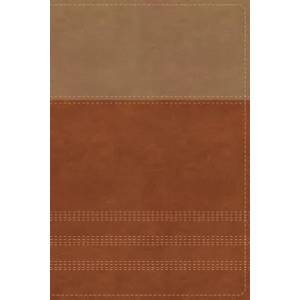 NIV, Biblical Theology Study Bible, Imitation Leather, Tan/Brown, Comfort Print: Follow God's Redemptive Plan as It Unfolds Throughout Scripture | D. A. Carson (ISBN: 9780310450504)