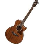 Ibanez Електро-акустична китара Ibanez AE245JR Open Pore, Natural (396351)