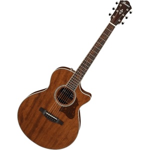 Ibanez Електро-акустична китара Ibanez AE245JR Open Pore, Natural (396351)