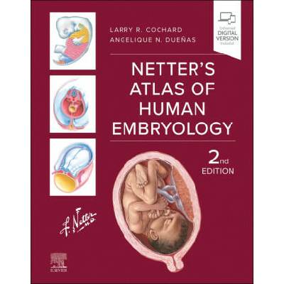 Netter's Atlas of Human Embryology | Larry R. Cochard, Angelique N. Dueñas