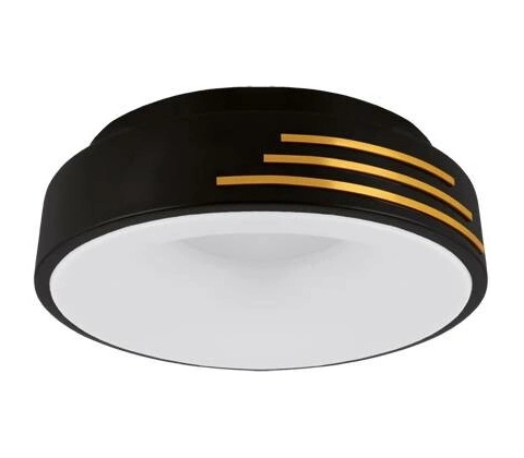IDEUS 04164