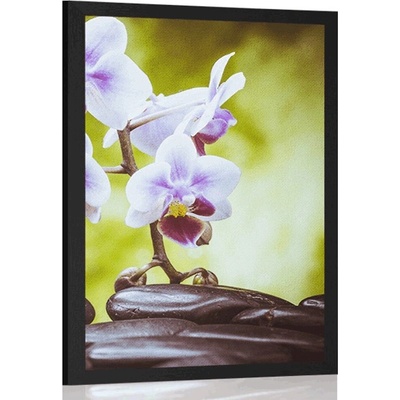 Plakát zen kameny a orchidej - 40x60 silver