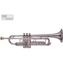 Yamaha YTR 8335RGS