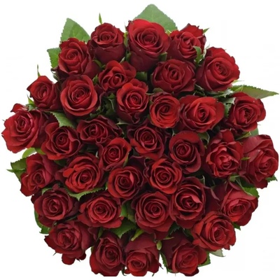 Kytice 35 červených růží RED RIBBON 50cm