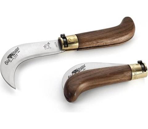 Antonini OldBear 9747/21