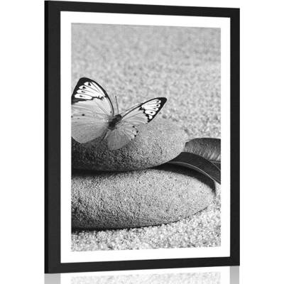 Plakát s paspartou motýl na Zen kameni v černobílém provedení - 40x60 white