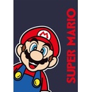 FARO Fleece deka Super Mario