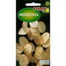 ROČNÁ MESIACKA Judášske striebro, Lunaria Menštruácia - semená 2 g