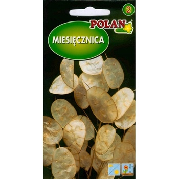 ROČNÁ MESIACKA Judášske striebro, Lunaria Menštruácia - semená 2 g