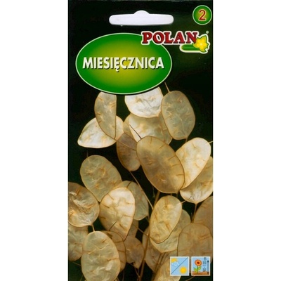 ROČNÁ MESIACKA Judášske striebro, Lunaria Menštruácia - semená 2 g