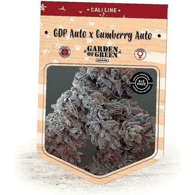Garden Of Green Seedbank GDP Auto x Gumberry Auto semienka neobsahujú THC 15 ks