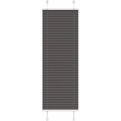 vidaXL Плисирана щора черна 50x100 cm Ширина на плата 49, 4 cm (4015116)