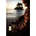 Ledlenesr ML6