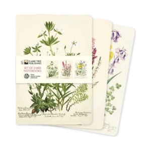 ROYAL BOTANIC GARDEN EDINBURGH SET OF 3 | FLAME TREE (ISBN: 9781804177778)