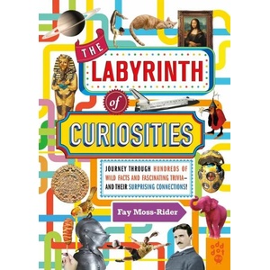 The Labyrinth of Curiosities (ISBN: 9781250254979)