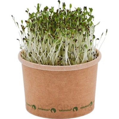 TINY GREENS Lucerna - BIO semienka na klíčenie a microgreens balenie 50 g