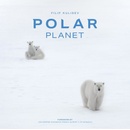 Polar Planet - Filip Kulisev