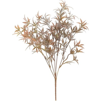ZELEŇ ASPARAGUS ZELENO-HNEDÝ 43CM