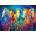 Enjoy - Puzzle Bright Galloping - 1 000 piese