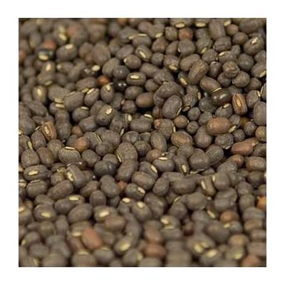 Global Foods Trading Čočka černé urid-dal/urid fazole neloupané celé 0,5 kg