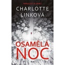 Osamělá noc