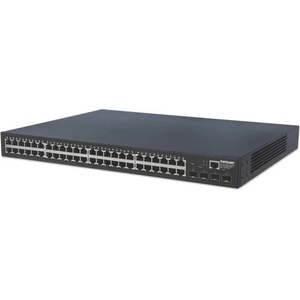 Intellinet 561334