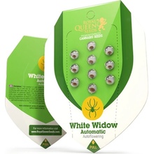 Royal Queen Seeds White Widow Automatic semena neobsahují THC 1 ks