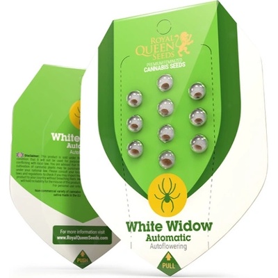 Royal Queen Seeds White Widow Automatic semena neobsahují THC 10 ks – Zboží Mobilmania