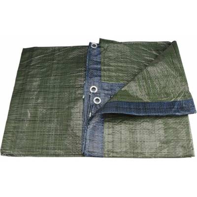 Extol Craft krycí plachta PE nepromokavá standard 6 x 10 m PE 11114