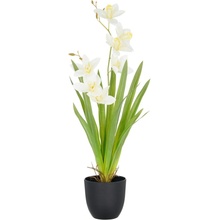 Gasper Gasper Umelá orchidea Cymbidium