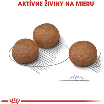 Royal Canin Medium Digestive Care 10 kg