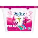 Gallus Universal kapsule 30 PD