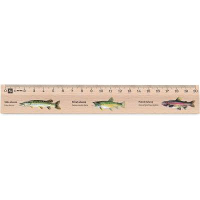 Metrie Didakt-M02 Dřevěné pravítko s potiskem Ryby 20 cm