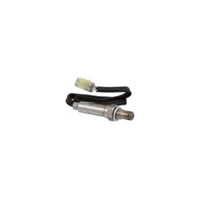 Sensor kyslíku RMS 100120610