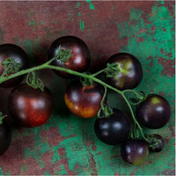 Paradajka tyčková čierna Blackball - Solanum lycopersicum - semená paradajky - 20 ks