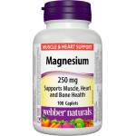 Webber Naturals Magnesium/ Магнезий 250 mg x 100 каплети Webber Naturals (3163 WN)