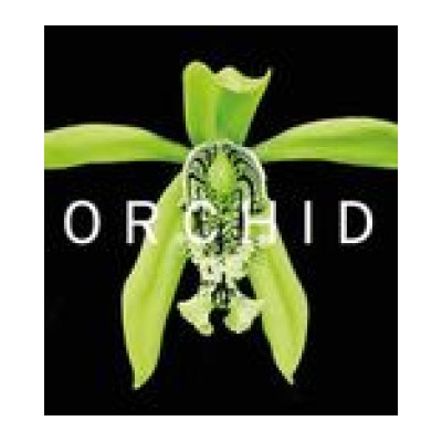 ORCHID | David A. Berry