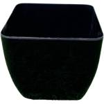 Prosperplast Кашпа alcea черна, квадрат 14 х 14 см. височина 12 см. pat5167