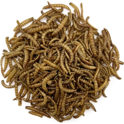 Grig sušení červíci Sůl 20 g