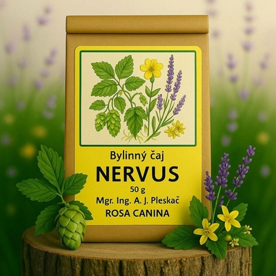 Rosa Canina Bylinný čaj Nervus 50 g