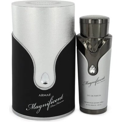 Armaf Magnificent Homme (Silver) EDP 100 ml
