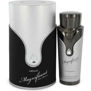 Armaf Magnificent Homme (Silver) EDP 100 ml Парфюми
