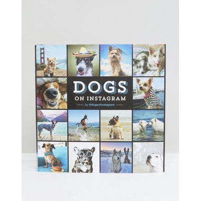 Dogs on Instagram - @dogs_of_instagram