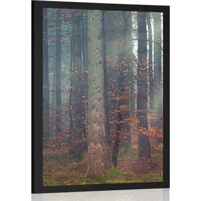 Plakát tajemství lesa - 20x30 black