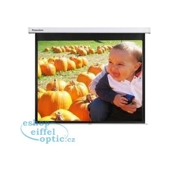 Optoma 100" 4:3 DS-3100PMG+