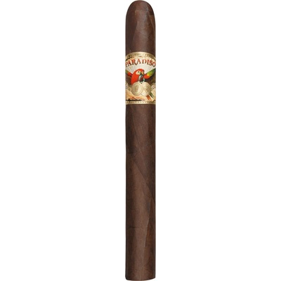 Ashton Cigars Paradiso Monumento 1 ks