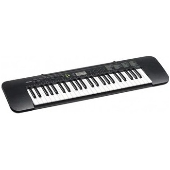 Casio CTK 240