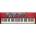 Clavia Nord Electro 6D 61