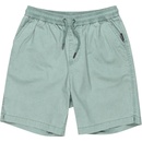 Quiksilver TAXER WS Chinois green